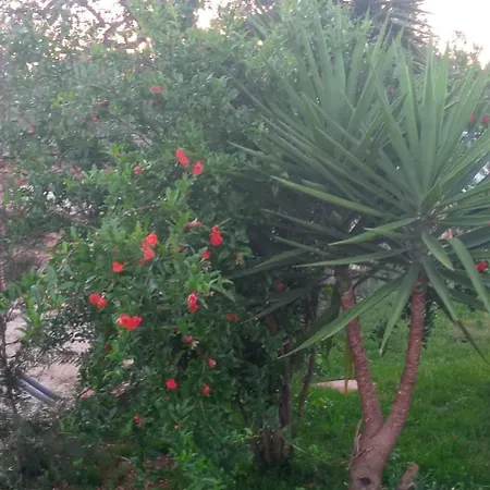 Casina Del Sole Relax And Private Pool Holiday home Ceglie Messapica