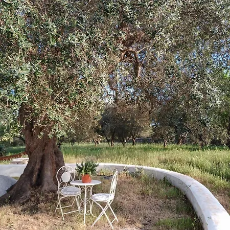 Casina Del Sole Relax And Private Pool Holiday home
